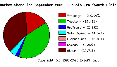 October 1st 2002 CA Market Share Pie Chart