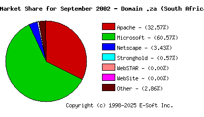 October 1st, 2002 Market Share Pie Chart