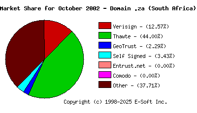 November 1st 2002 CA Market Share Pie Chart