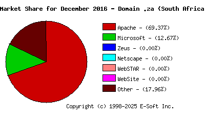 January 1st, 2017 Market Share Pie Chart