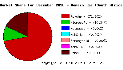January 1st, 2021 Market Share Pie Chart