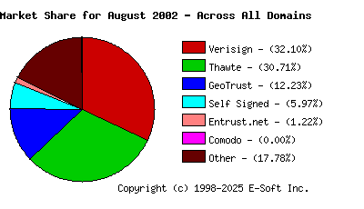 September 1st 2002 CA Market Share Pie Chart