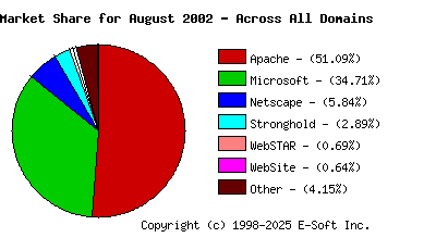 September 1st, 2002 Market Share Pie Chart