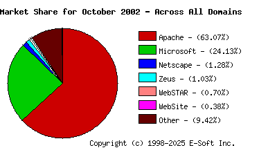 November 1st, 2002 Market Share Pie Chart