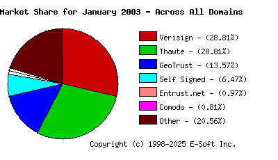 February 1st 2003 CA Market Share Pie Chart