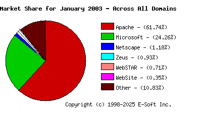 February 1st, 2003 Market Share Pie Chart