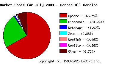 August 1st, 2003 Market Share Pie Chart