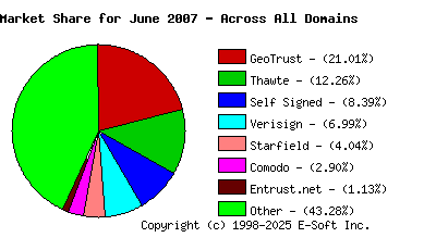 July 1st 2007 CA Market Share Pie Chart