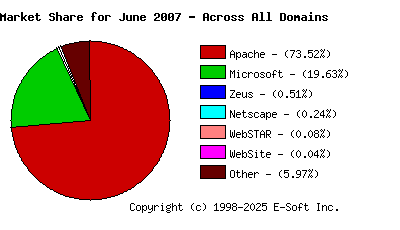 July 1st, 2007 Market Share Pie Chart