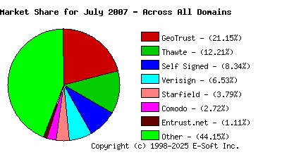 August 1st 2007 CA Market Share Pie Chart