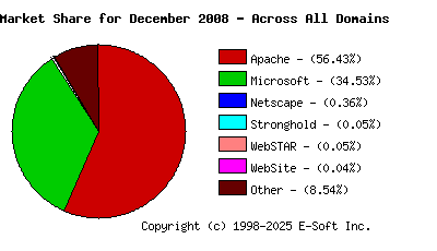 January 1st, 2009 Market Share Pie Chart