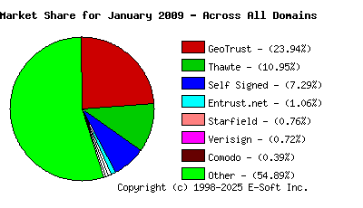 February 1st 2009 CA Market Share Pie Chart