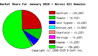 February 1st 2010 CA Market Share Pie Chart