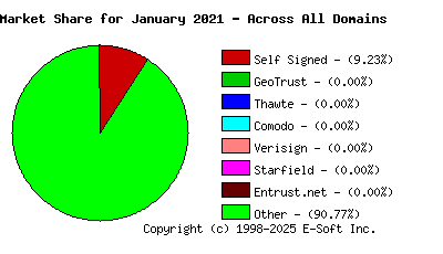 February 1st 2021 CA Market Share Pie Chart