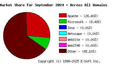 October 1st, 2024 Market Share Pie Chart