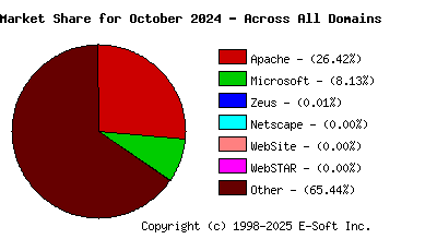 November 1st, 2024 Market Share Pie Chart
