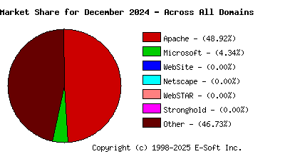 January 1st, 2025 Market Share Pie Chart