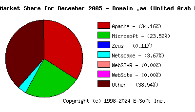 January 1st, 2006 Market Share Pie Chart