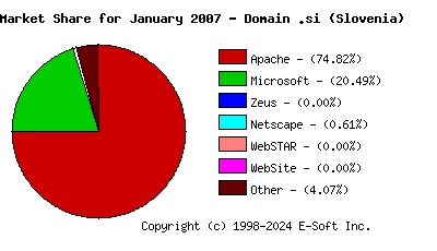February 1st, 2007 Market Share Pie Chart