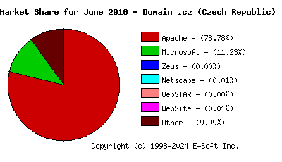 July 1st, 2010 Market Share Pie Chart