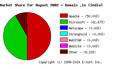September 1st, 2002 Market Share Pie Chart