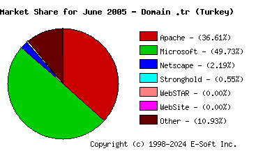 July 1st, 2005 Market Share Pie Chart